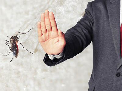 About Safe Haven Pest Control - Rat Control experts in West Perth