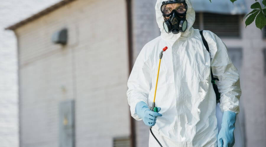 Professional Rat Control services in West Perth